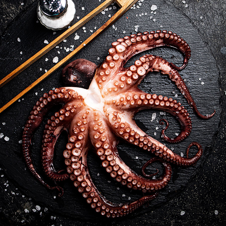 Ganzer Pulpo / Krake – Bild 3