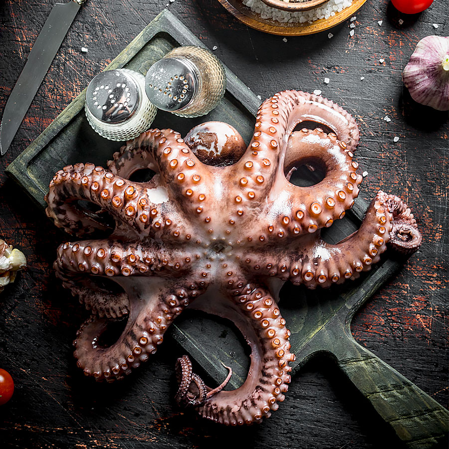 Aufgetauter Pulpo / Krake